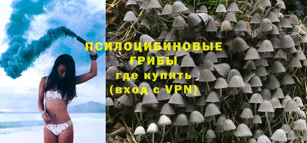 кокаин перу Дмитриев