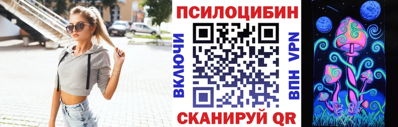 хочу   Майкоп  Псилоцибиновые грибы Cubensis 