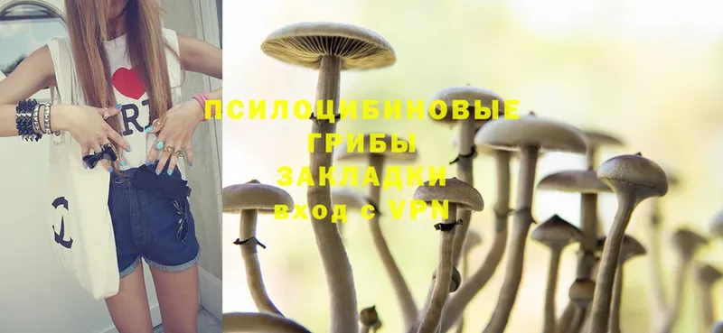 Псилоцибиновые грибы MAGIC MUSHROOMS  Майкоп 