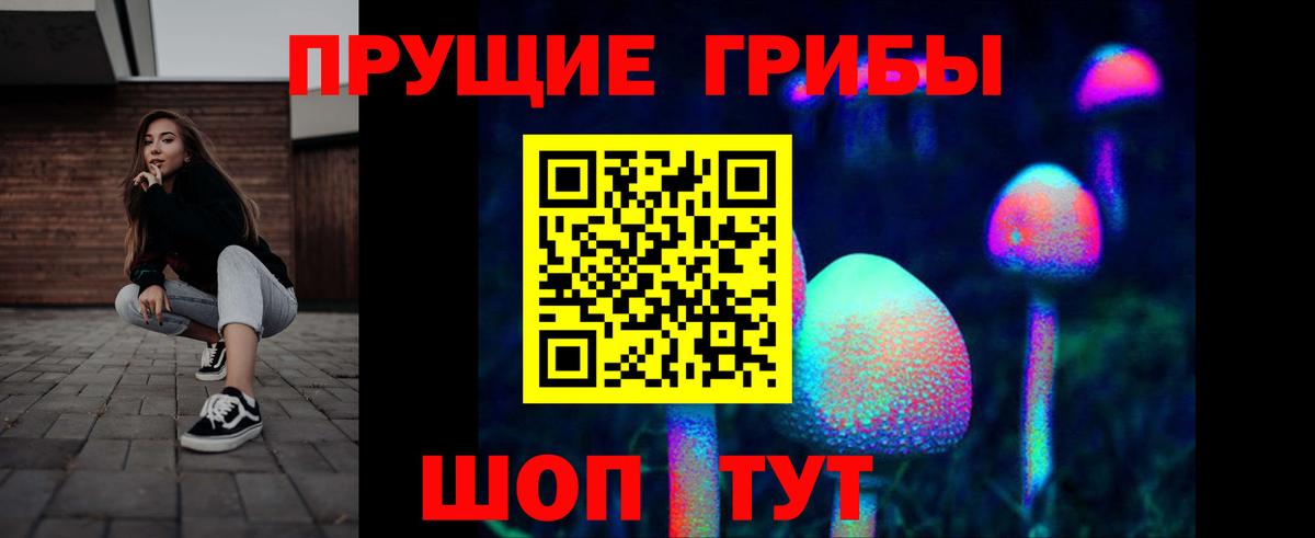Галлюциногенные грибы Psilocybe Майкоп